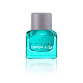 Hollister Canyon Rush Eau De Toilette Vaporisateur 30ml