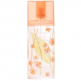 Elizabeth Arden Green Tea Nectarine Blossom Eau De Toilette Vaporisateur 100ml