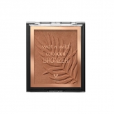 Wet N Wild Color Icon Bronzer E743B What Shady Beaches