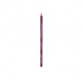 Wet N Wild Crayon À Lèvres Color Icon E664C Fab Fuchsia 