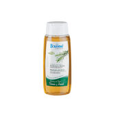 Lixoné Rosemary And Birch Cheveux Fins Ou Fragiles Shampooing 250ml