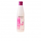 Salerm Cosmetics Hi Repair Shampooing 250ml