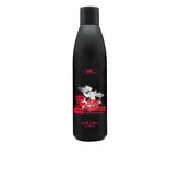 Postquam Farbentferner 250ml