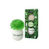 Don Algodon Ambients Fiore Profumato Profumo Night Lady 50ml