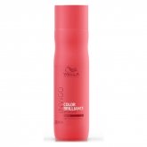 Wella Invigo Color Brilliance Shampoo Für Dickes Haar 250ml