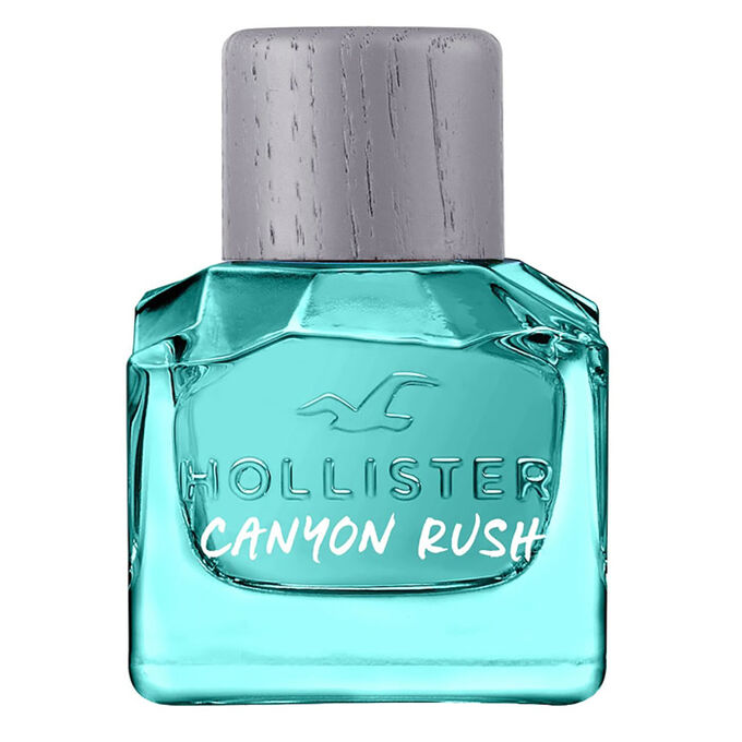 Hollister germany online shop hotsell