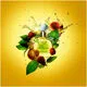 3666057026164_2.webp