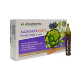 Arkopharma Arkofluido Artischocke Forte 20 Ampullen 