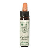 Santiveri Bach Aigremoine 10ml