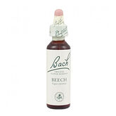 Santiveri Bach Buche 10ml