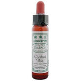 Santiveri Bach Bourgeon De Châtaignier 10ml