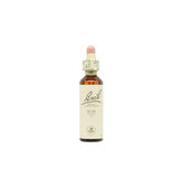 Santiveri Bach Elm 10ml