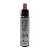 Santiveri Bach Holly 10ml