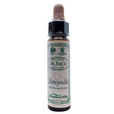 Santiveri Bach Chèvrefeuille 10ml