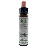 Santiveri Bach Hainbuche 10ml