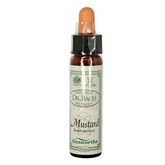 Moutarde de Bach Santiveri 10ml