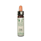 Santiveri Chêne de Bach 10ml