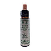 Santiveri Bach Pine 10ml