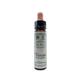 Santiveri Vervain 10ml