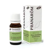 Ätherisches Öl Bio Seekiefer Terpentin 10ml