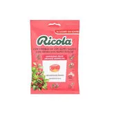 Ricola Bonbons Sans Sucre Saveur Canneberge 70gr