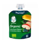 Gerber Organic Pomme Banane Myrtille & Mûre 90g
