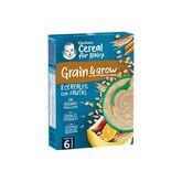 Gerber Papilla 8 Cereals With Fruit 250g