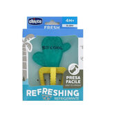 Chicco Refreshing Cactus Teether 4M+