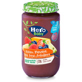 Hero Baby Banana Mela Pera Fragola Mirtilli 235g