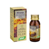 Santiveri Harpago 40 Tabletten