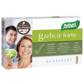 Santiveri Garlicir 60 Gélules