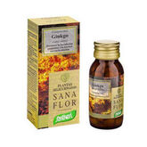 Santiveri Ginkgo Biloba Pianta Compresse