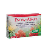 Santiveri EnergyAdapt 24 Comprimés