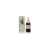 Soria Natural Horsetail Extract SXXI 50ml