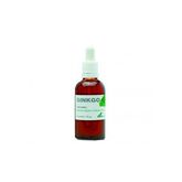 Soria Natural Estratto Di Ginkgo 50ml