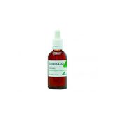 Soria Natural Ginkgo Extract 50ml