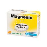 Vallesol Magnesio B Efervescente 24comp