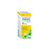 Heel Angineel Própolis Spray 20 ml