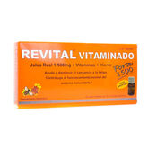 Revital Ferro 20 Fiale 10Cc