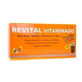 Revital Fer 20 Ampoules 10Cc