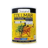 Drasanvi Collmar Curcuma Citron 300g
