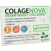 Vaminter Colagenova Vegan Boost 30 Tage 180 Kapseln