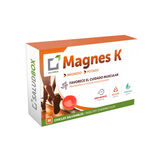 Salud Box Magnes K 30 Chewing-Gum  