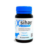 Nutriceuticals Xsihay Laktose 30 Kapseln