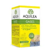 Aquilea Gaz 60 Comprimés