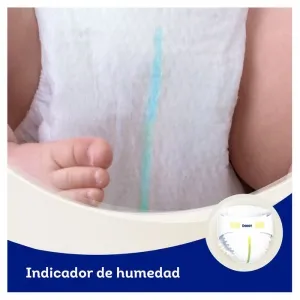 4084500594524_3.webp