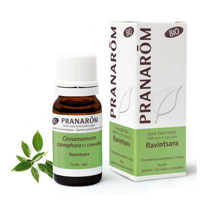 Pranarom Essential Oil Ravintsara 10ml Pharmacyclub Buy The Best Pharma Cosmetics Online